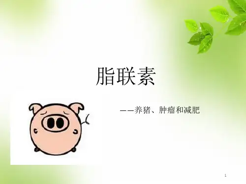 脂联素PPT医学课件