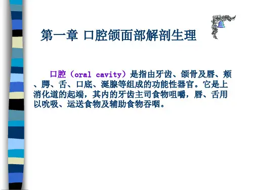 口腔颌面部解剖生理课件