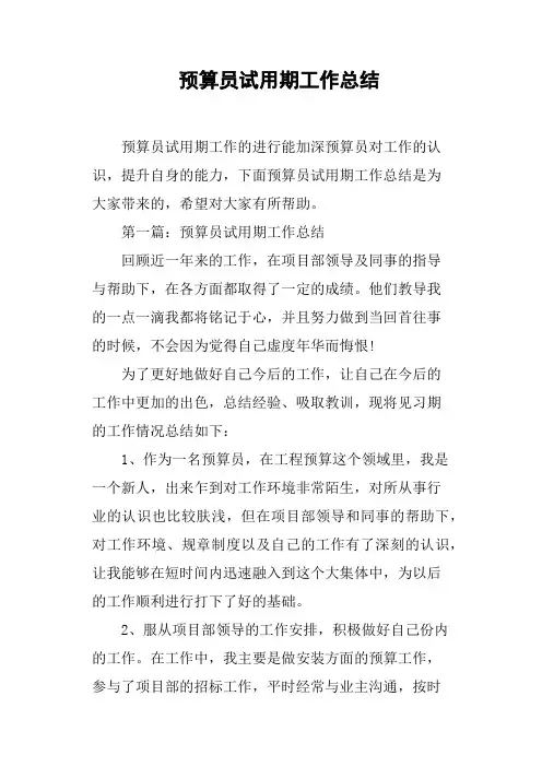 预算员试用期工作总结