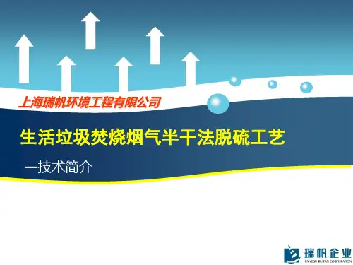 生活垃圾焚烧烟气半干法脱酸技术-瑞帆