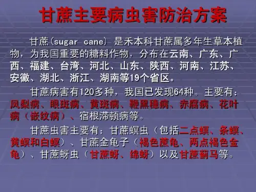 甘蔗病虫害防治方案46页PPT