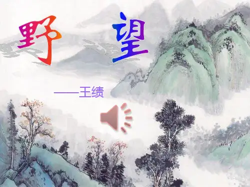 《野望》ppt