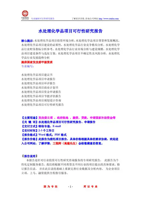 水处理化学品项目可行性研究报告