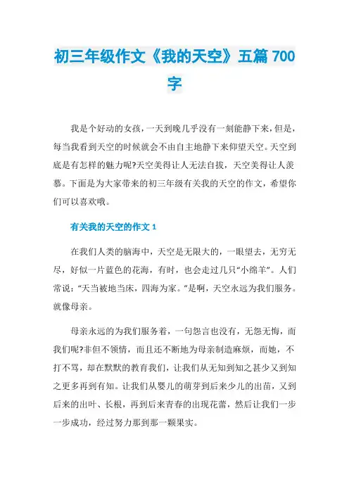 初三年级作文《我的天空》五篇700字