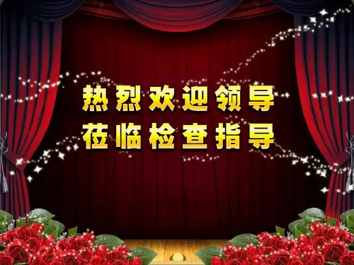 欢迎领导莅临指导PPT模板