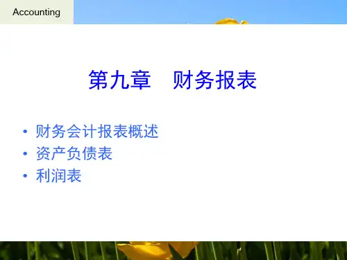财务会计报表概述(PPT 52页)