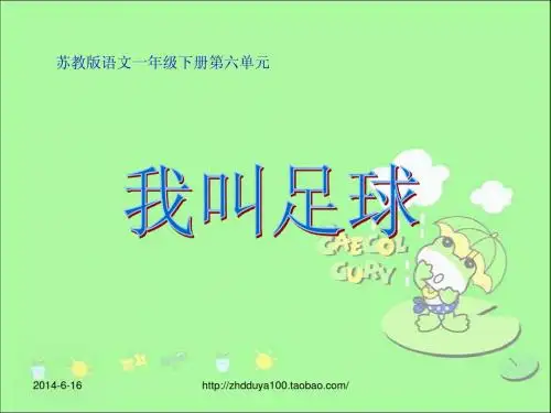 我叫足球ppt课件1