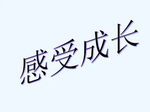 感受成长 PPT