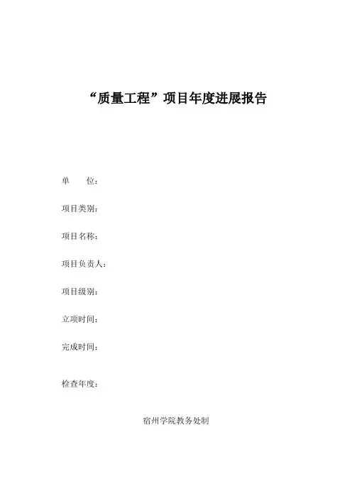 质量工程项目年度进展报告