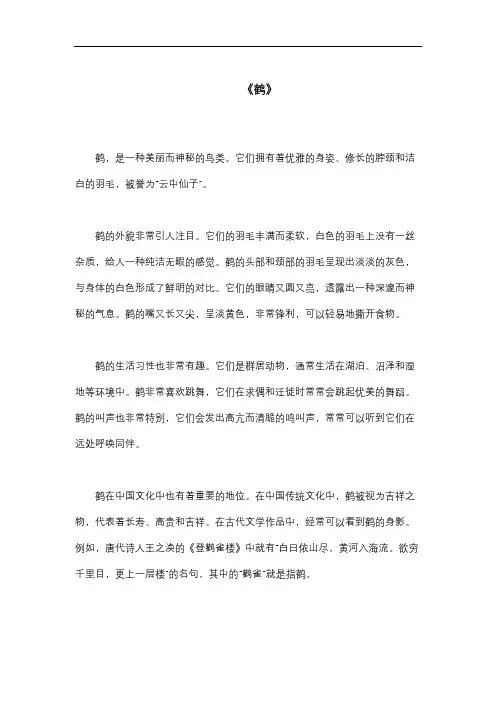 描写《鹤》的800字作文