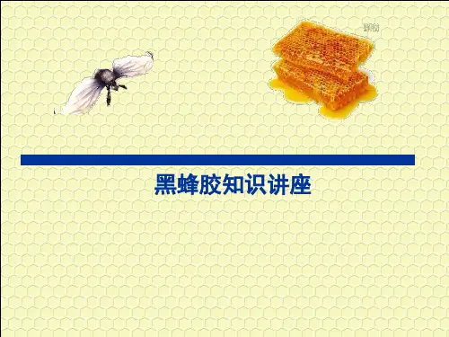 黑蜂胶知识讲座