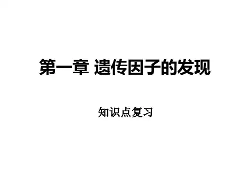 第一章 遗传因子的发现复习
