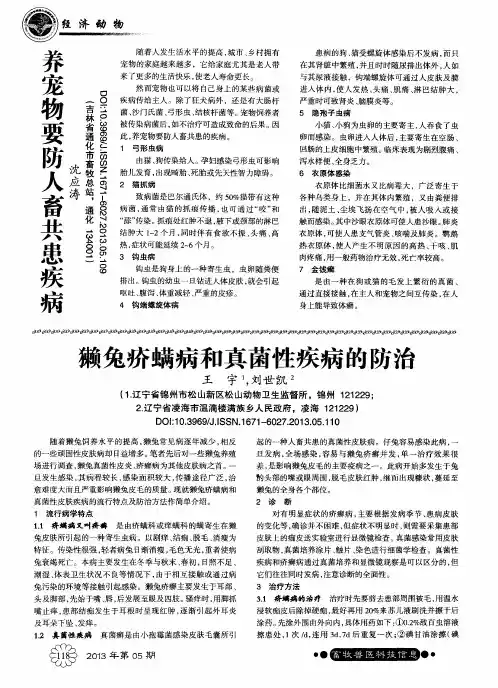 獭兔疥螨病和真菌性疾病的防治