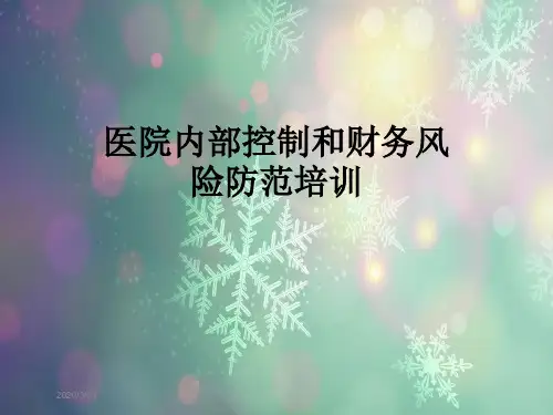 医院内部控制和财务风险防范培训