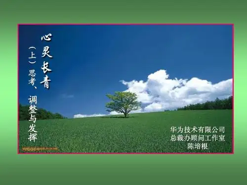 心灵常青-简