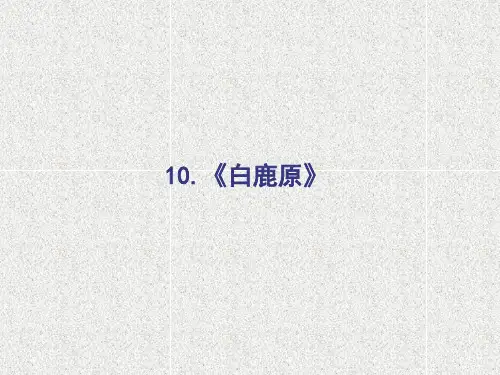高中语文选修《白鹿原》