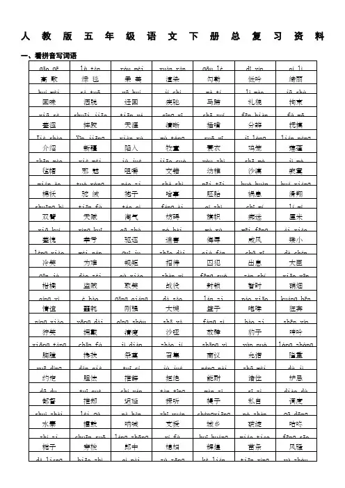 人教版五年级语文下册总复习字词