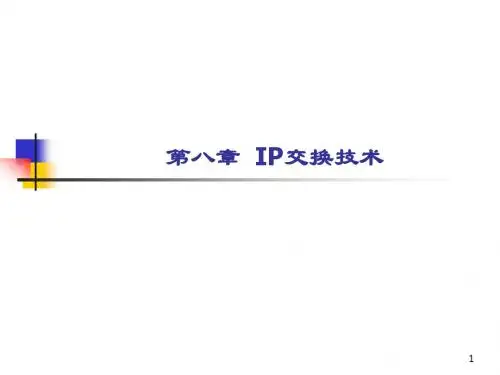 第八章 IP交换