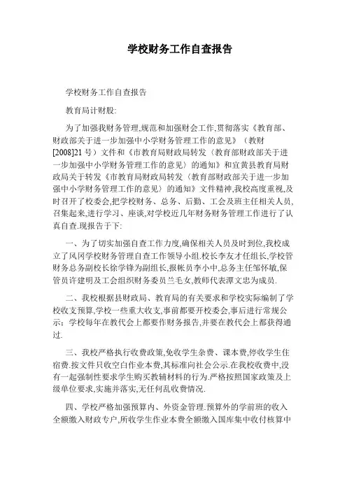学校财务工作自查报告
