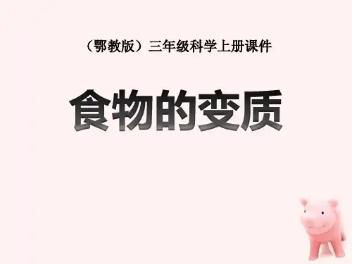 《食物的变质》生活中的食物PPT课件设计