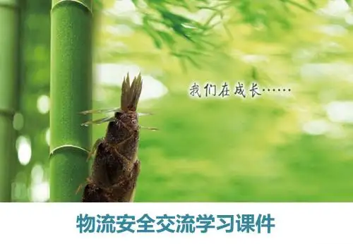 物流园安全交流学习PPT 模板