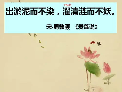 出淤泥而不染
