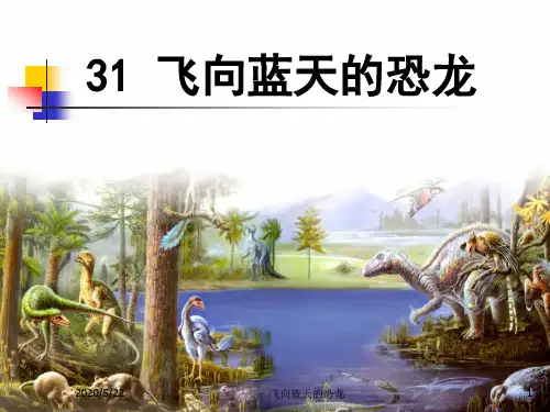 飞向蓝天的恐