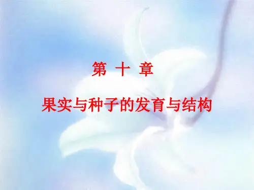 植物学教学课件12--植物的果实
