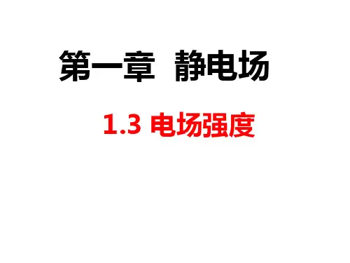 13电场强度