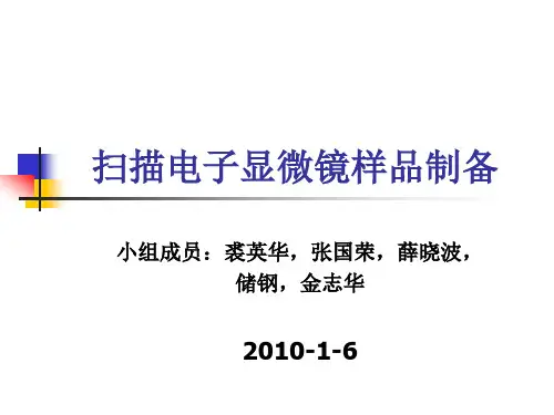 扫描电子显微镜样品制备