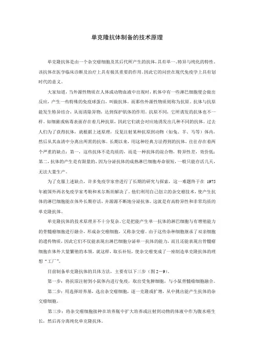 单克隆抗体制备的技术原理