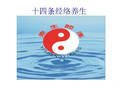 人体十二条经络 高清共57页