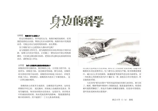 科普手抄报