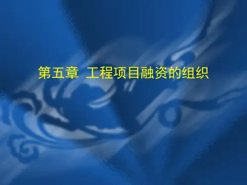 工程项目融资的组织概述.ppt