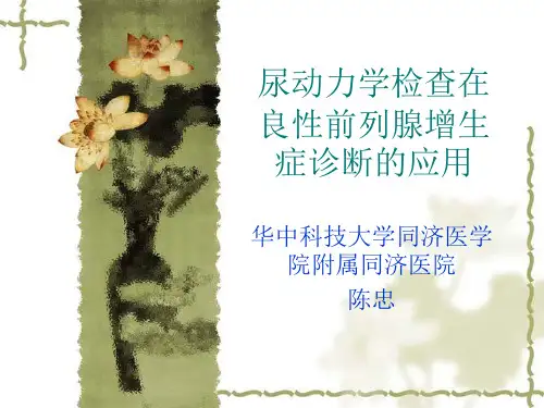 尿动力学检查在BH诊断中的应用演示课件