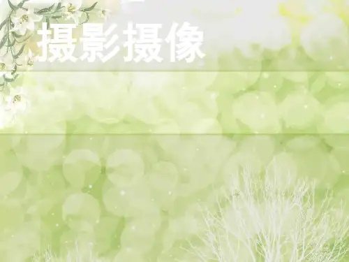高中信息技术选修2课件-2.2.1 图形、图像的获取-教科版