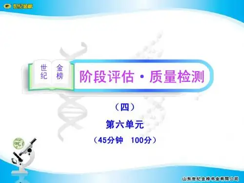 阶段评估·质量检测(四)