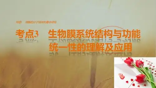 2017版考前三个月江苏专版高考生物专题课件 知识篇：专题1 细胞的分子组成和基本结构 考点3 精品
