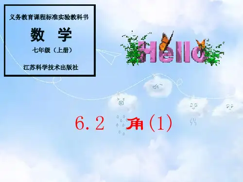 苏教版七年级上册数学角ppt课件