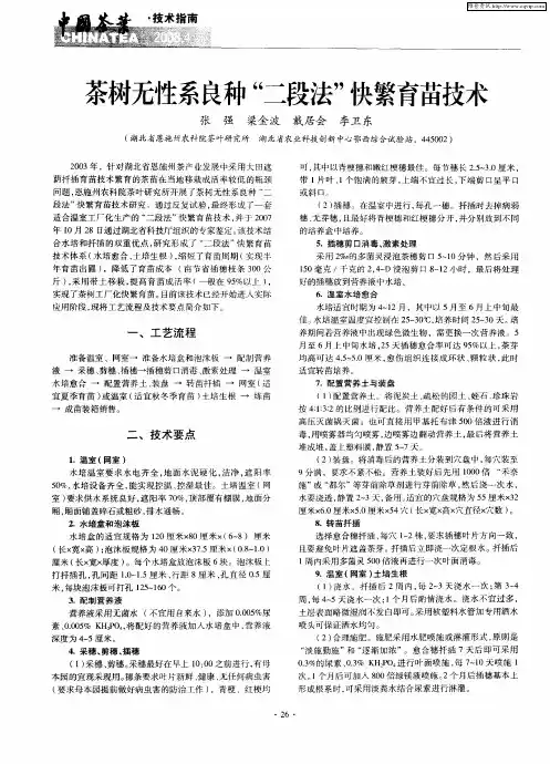 茶树无性系良种“二段法”快繁育苗技术