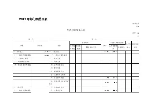 2017年部门预算报表