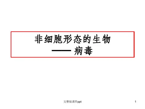 《非细胞形态的生物》PPT课件