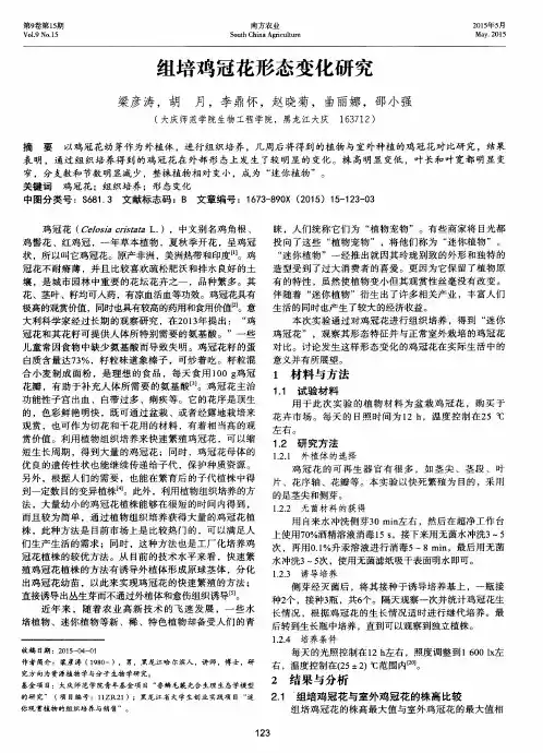 组培鸡冠花形态变化研究 2