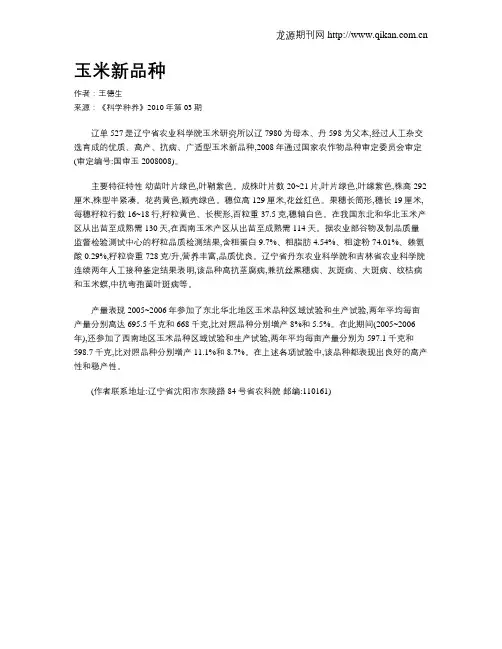 玉米新品种
