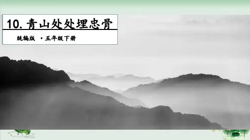 《青山处处埋忠骨》ppt完美版1