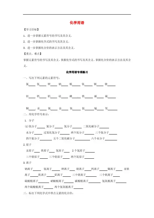 九年级化学上册期末复习化学用语精品学案(新版)粤教版