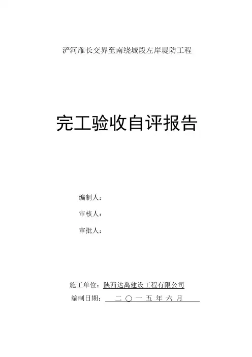 自评报告 2