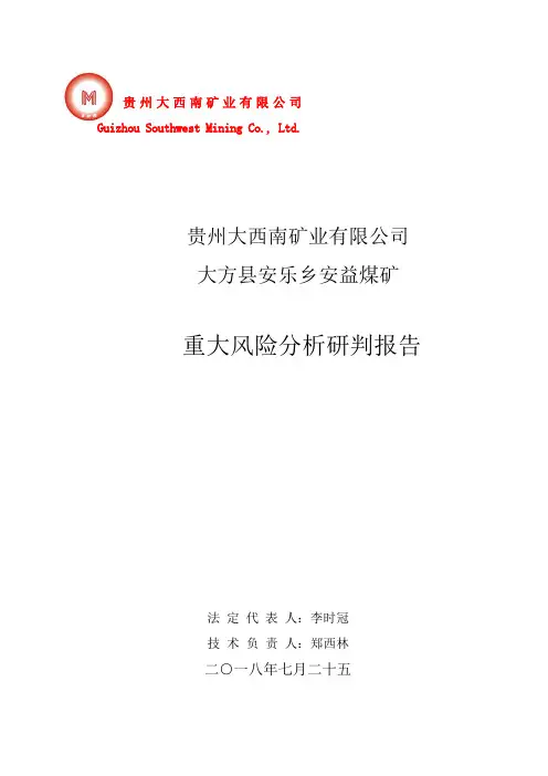 重大风险分析研判报告(终稿)