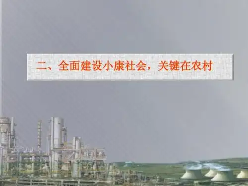 小康社会.农民问题