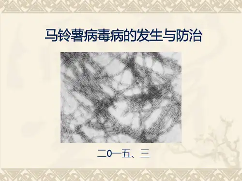 马铃薯病毒病的发生与防治